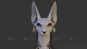 斯芬克斯猫 Sphynx Cat 3
