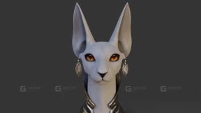 斯芬克斯猫 Sphynx Cat 3