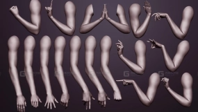 16组手臂胳膊手势模型 16 female arm poses