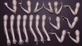 16组手臂胳膊手势模型 16 female arm poses