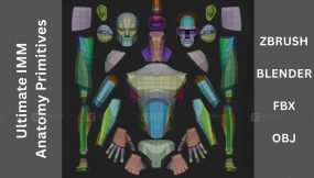 终极IMM解剖学基础模型集 Ultimate IMM Anatomy Primitive by George Zaky