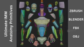 终极IMM解剖学基础模型集 Ultimate IMM Anatomy Primitive by George Zaky