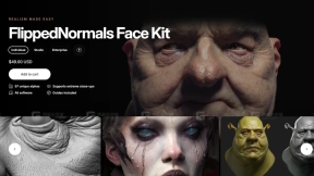 FlippedNormals面部套装 FlippedNormals Face Kit