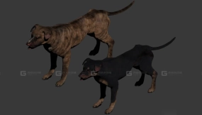 突袭犬 Raider Dog 32