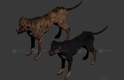 突袭犬 Raider Dog 32