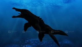 滑齿龙 Liopleurodon 0