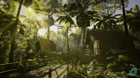 【UE】低多边形雨林资源包  Low Poly Rainforest Pack