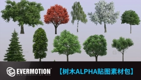 树木Alpha贴图素材包渲染的树木素材 Evermotion - Textures4ever Vol.7