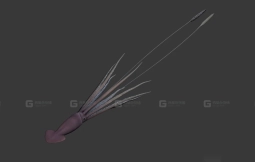 巨型乌贼 Gigant Squid 6