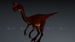 窃蛋龙 Oviraptor 0