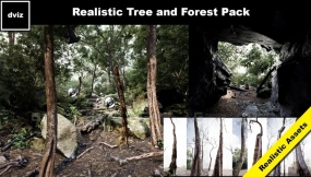 【UE】树木 写实森林植物包  Trees  Realistic Forest Plants Pack