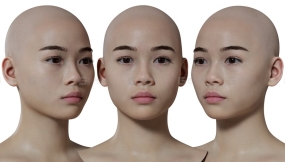 写实女性头像扫描模型06 HD female 3D Head Model 06