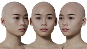 写实女性头像扫描模型06 HD female 3D Head Model 06