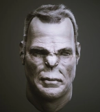 ZBrush动物鼻子笔刷模型预设 40 ZBrush VDM Nasal Areas