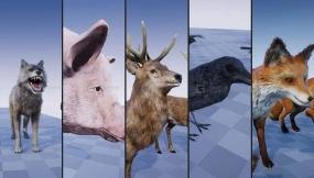 【UE】乌鸦狐狸雄鹿母鹿猪狼 ANIMAL VARIETY PACK