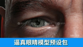 【模型】逼真眼睛模型预设包 FlippedNormals – Eye Kit