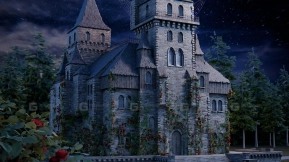 场景-玫瑰城堡  Scene- Rose Castle