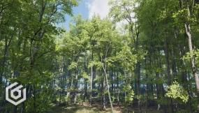 【UE】树木 山毛榉树  Trees  Beech tree
