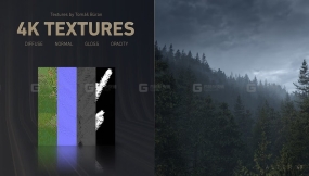 森林松树灌木模型  PRO Forest Bundle