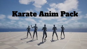 【UE5.6】空手道动画包  Karate Anim Pack