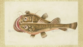 海怪图记幻想水怪生物图片素材 Sea monster illustration fantasy aquatic creature image materials