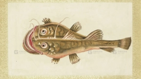 海怪图记幻想水怪生物图片素材 Sea monster illustration fantasy aquatic creature image materials