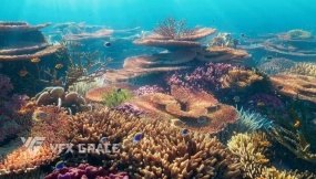 Blender珊瑚3D模型资产 VFX Grace – Corals Collection