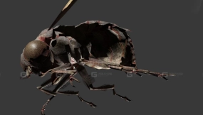 苍蝇-Bloathfly 3D model-1-0