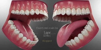 牙齿牙龈工程文件口腔模型影像者说自购分享 Teeth Gums Engineering File Oral Model Yingshuo Self-purchased Share