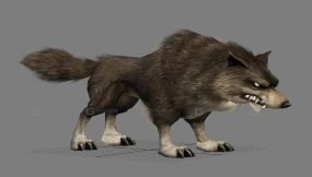 沃尔夫-Wolf 3D model-29-0