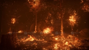 【UE】森林火灾  Forest Fire
