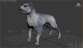 狗 Dog 9