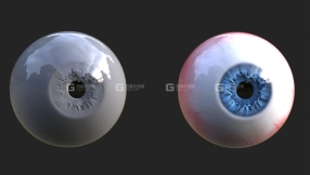 眼球3D模型 3D Eye Model