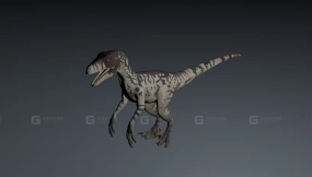 驰龙 Dromaesaurus 0