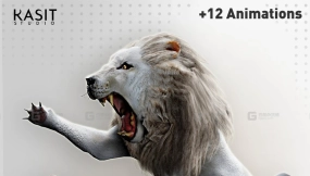 白色雄性狮子动画  White Male Lion Animated