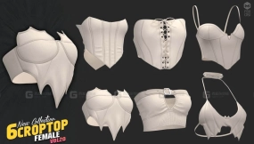 女性胸衣文胸6件