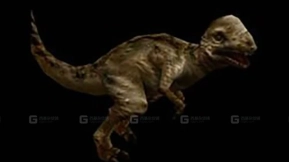 厚头龙 Pachycephalasaurus 0