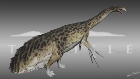 Therizinosaurus - 镰刀龙
