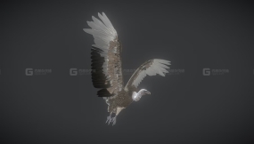 【UE】秃鹫老鹰  Vulture