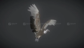 【UE】秃鹫老鹰  Vulture