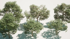 【UE】水果树V1