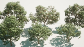 【UE】水果树V1