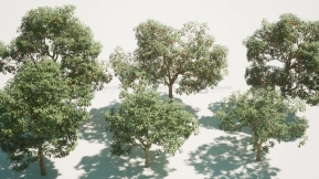 【UE】水果树V1