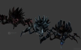 蜘蛛 Spiders 38