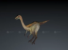 Archaeornithomimus - 似鹈鹕龙