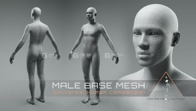Blender标准布线男性人体3D模型Universal Human Male Base Mesh v2.1