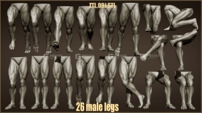 ZBrush男性腿脚模型26 Male Leg Poses 3D Models