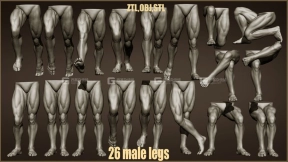 ZBrush男性腿脚模型26 Male Leg Poses 3D Models