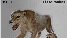 雌狮动画绑定模型  Female Lion Animated Rigged