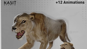 雌狮动画绑定模型  Female Lion Animated Rigged